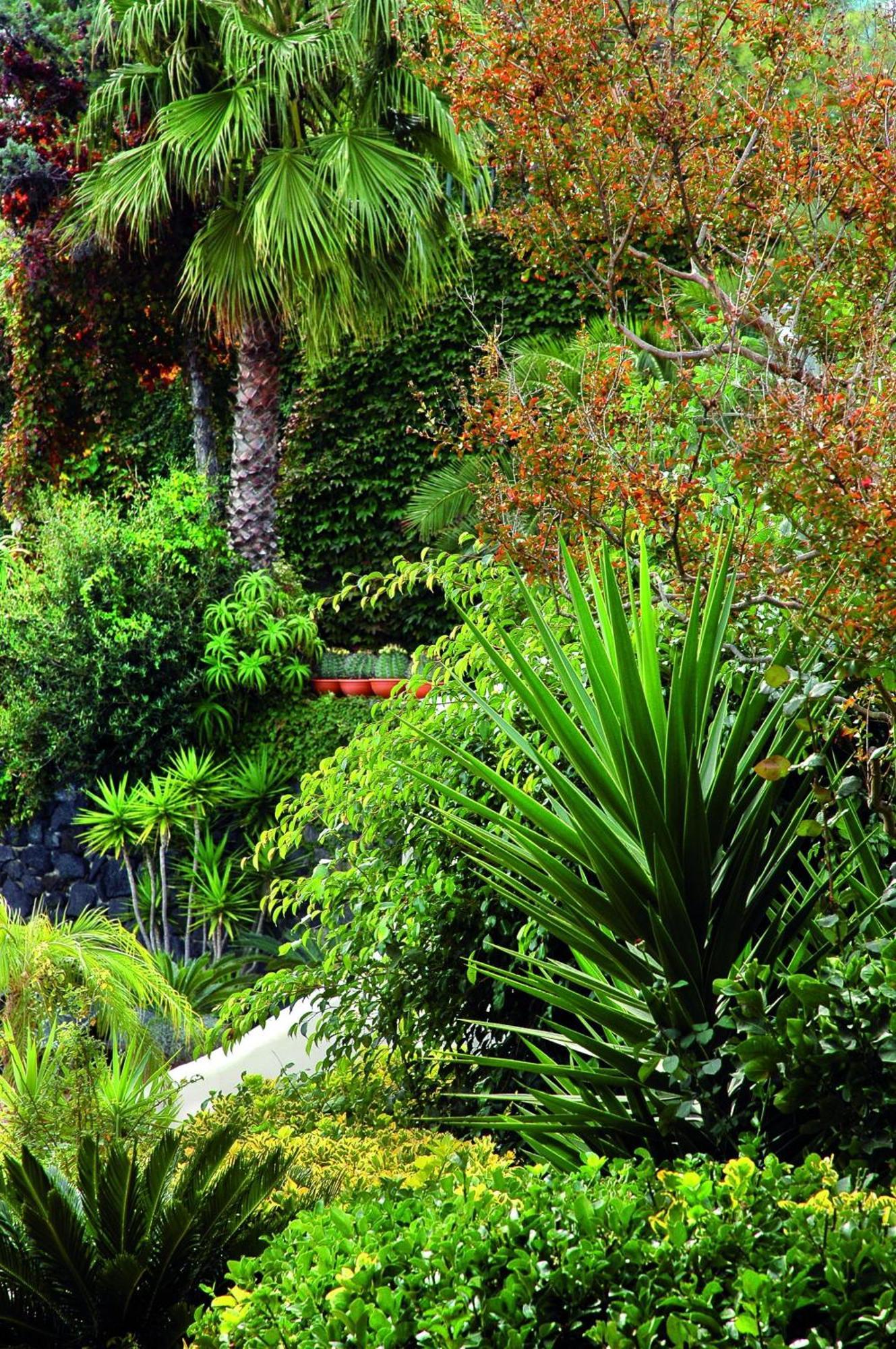 Strand Hotel Delfini Ischia Exterior foto